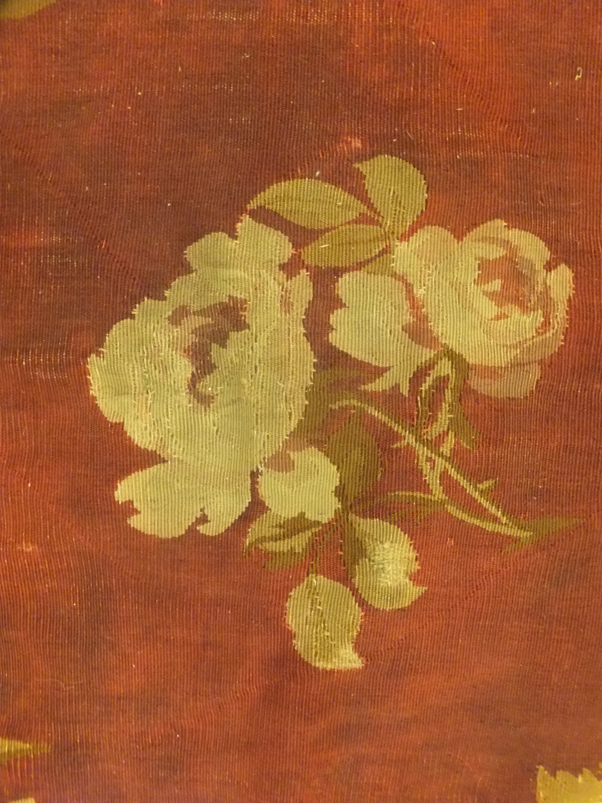 Rug image